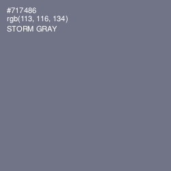 #717486 - Storm Gray Color Image